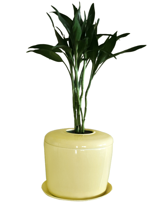 The Living Urn Indoors / Patio for Pets