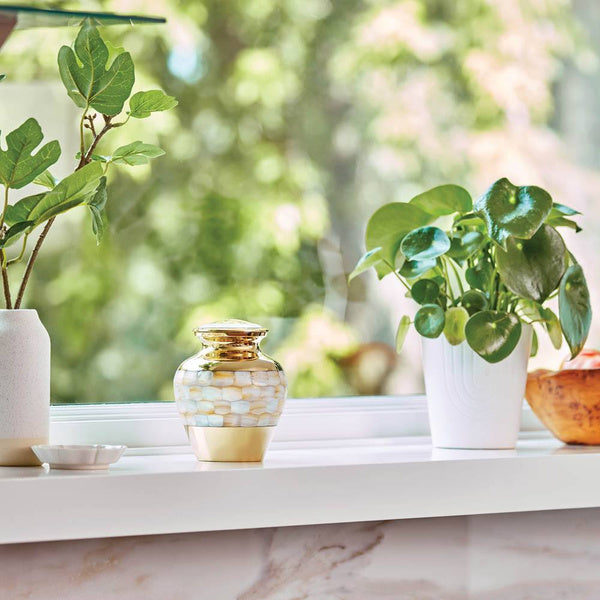 Elite Mother of Pearl for Pets