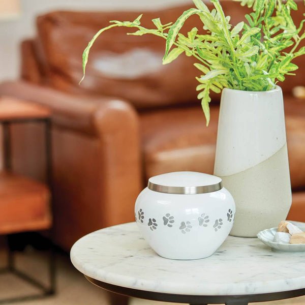 Journey Pearl Pet Urn