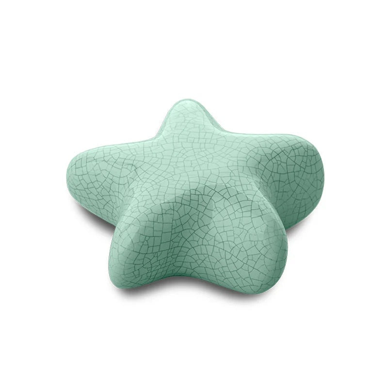 Eternal Stars for Pets