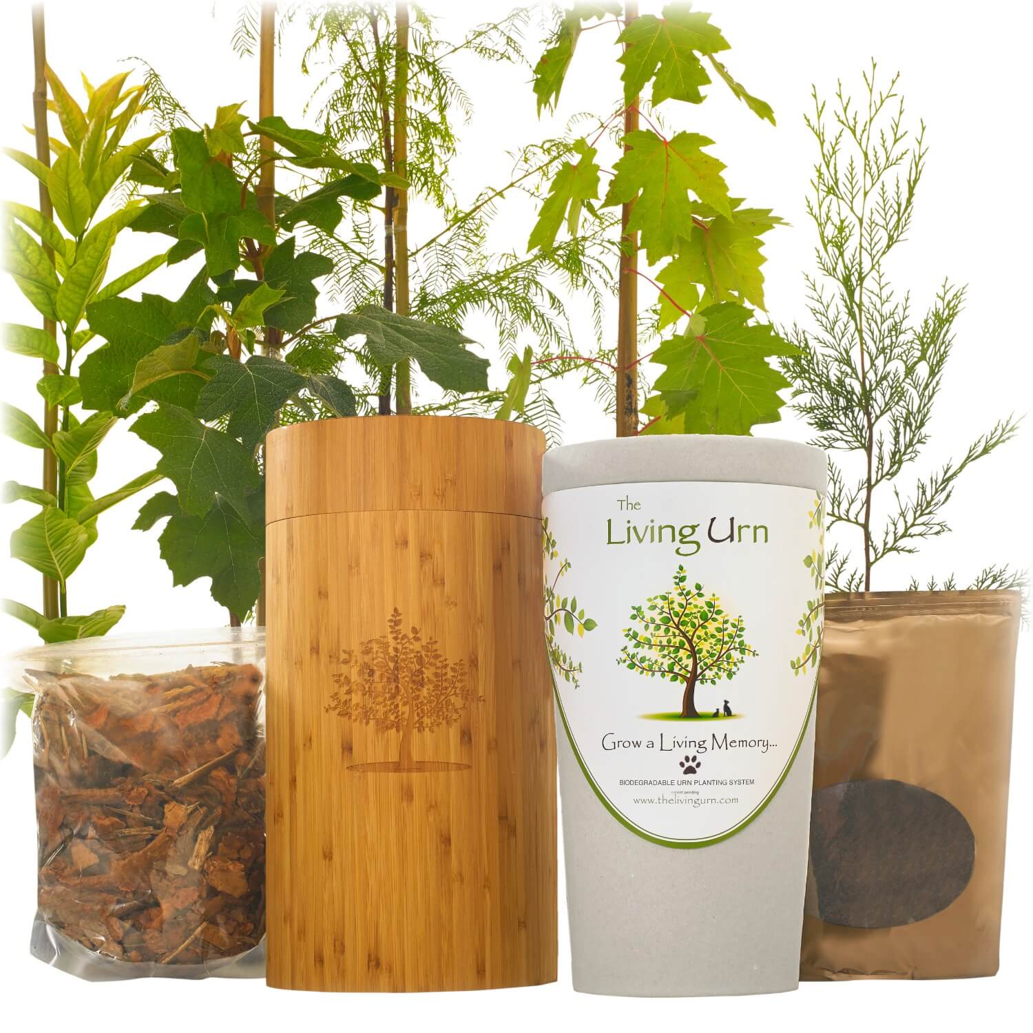 The Living Urn® for Pets - Includes a Tree Voucher