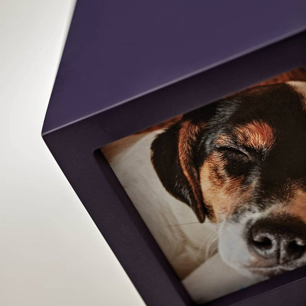 Photo Cube Urn for Pets - Violet