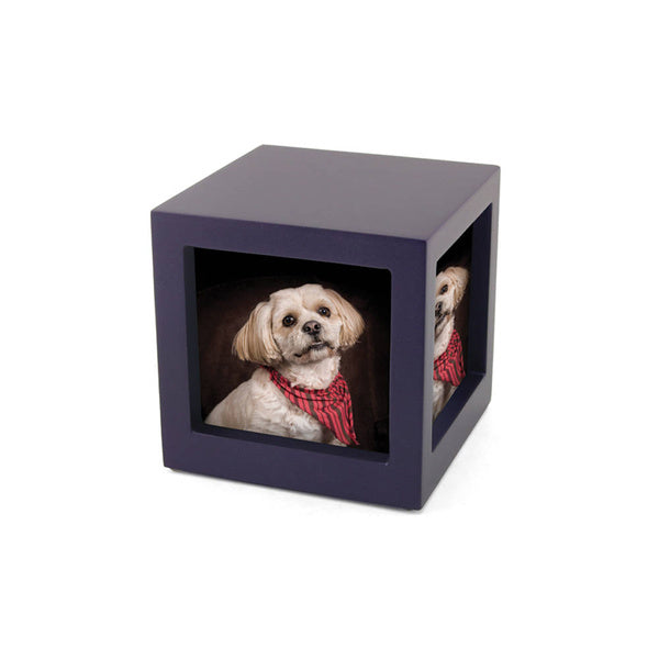 Photo Cube Urn for Pets - Violet