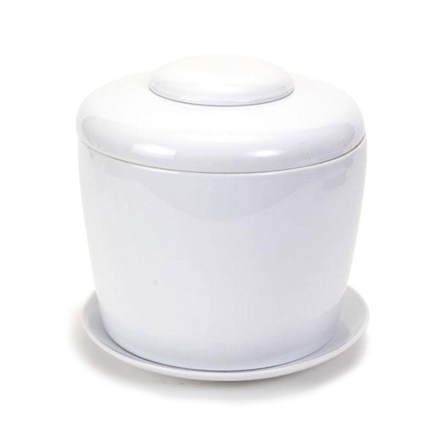 The Living Urn Indoors / Patio for Pets